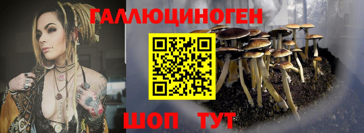 Балабаново  Галлюциногенные грибы GOLDEN TEACHER  Вход с VPN 